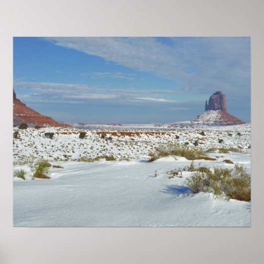 USA, Utah, Monument Valley. Sagebrush shows Poster (Voorkant)