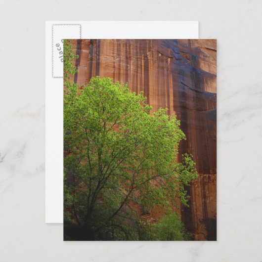 USA, Utah, Paria Canyon-Vermillion Cliffs Briefkaart (Voorkant / Achterkant)