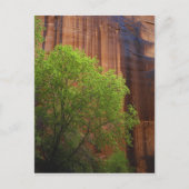 USA, Utah, Paria Canyon-Vermillion Cliffs Briefkaart (Voorkant)