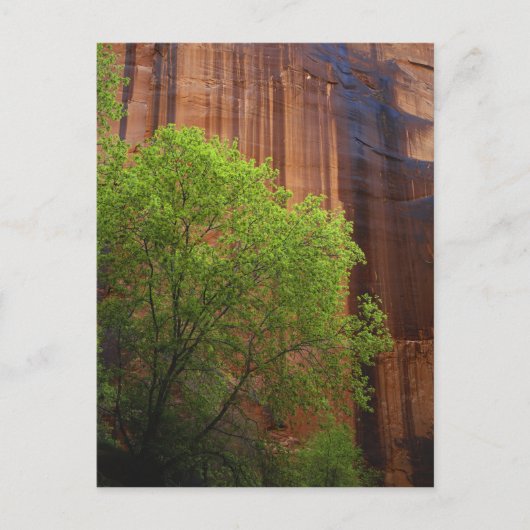 USA, Utah, Paria Canyon-Vermillion Cliffs Briefkaart (Voorkant)
