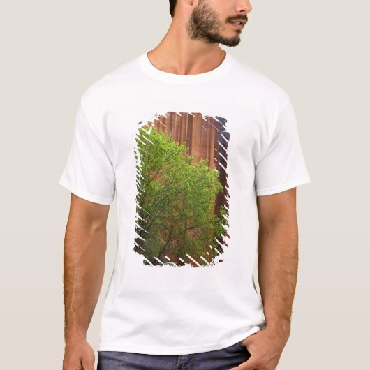 USA, Utah, Paria Canyon-Vermillion Cliffs T-shirt (Voorkant)