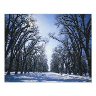 USA, Utah, Salt Lake City, Liberty Park Foto Afdruk