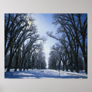 USA, Utah, Salt Lake City, Liberty Park Poster