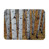 USA, Utah, Uinta-Wasatch-Cache National Forest 2 Magneet (Horizontaal)