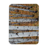 USA, Utah, Uinta-Wasatch-Cache National Forest 2 Magneet (Verticaal)