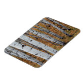 USA, Utah, Uinta-Wasatch-Cache National Forest 2 Magneet (Linkerzijde)