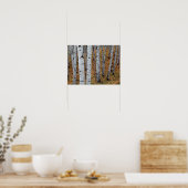 USA, Utah, Uinta-Wasatch-Cache National Forest 2 Poster (Keuken)