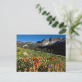 USA, Utah, Uinta-Wasatch-Cache National Forest Briefkaart (Staand voorkant)