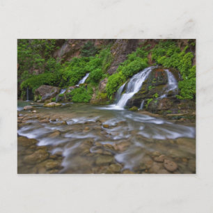 USA, Utah, Zion National Park. Big Springs in Briefkaart