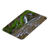 USA, Utah, Zion National Park. Big Springs in Magneet (Linkerzijde)