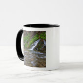 USA, Utah, Zion National Park.  Big Springs in Mok (Voorkant links)