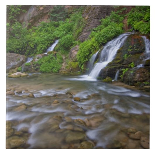 USA, Utah, Zion National Park.  Big Springs in Tegeltje (Voorkant)