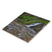 USA, Utah, Zion National Park.  Big Springs in Tegeltje (Zijkant)