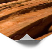 USA, Utah, Zion National Park. Pijnboom Poster (Hoek)