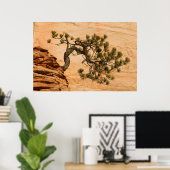 USA, Utah, Zion National Park. Pijnboom Poster (Thuiskantoor)