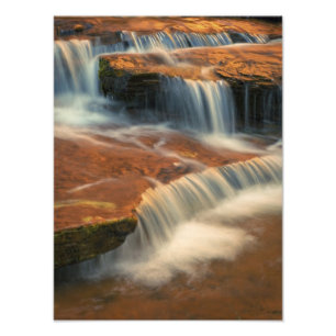 USA, Utah, Zion National Park. Schilderachtig van Foto Afdruk