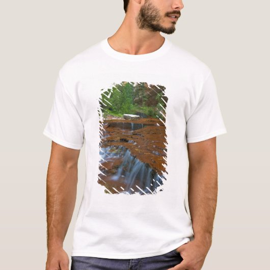 USA, Utah, Zion National Park. Schilderachtig van T-shirt (Voorkant)