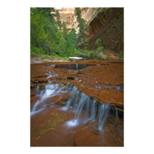 USA, Utah, Zion National Park. Schilderachtig vana Foto Afdruk