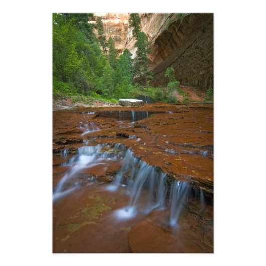 USA, Utah, Zion National Park. Schilderachtig vana Foto Afdruk (Voorkant)