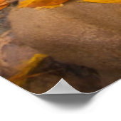 USA, Utah, Zion National Park. Sentinel 1 Poster (Hoek)