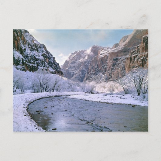 USA, Utah, Zion NP. Nieuwe sneeuw bedekt de canyon Briefkaart (Voorkant)