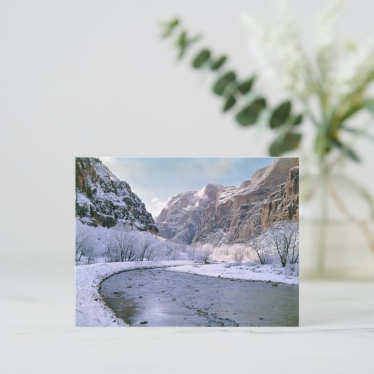 USA, Utah, Zion NP. Nieuwe sneeuw bedekt de canyon Briefkaart (Staand voorkant)