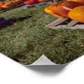 USA, Vermont, Shelbourne, Pumpkins Poster (Hoek)