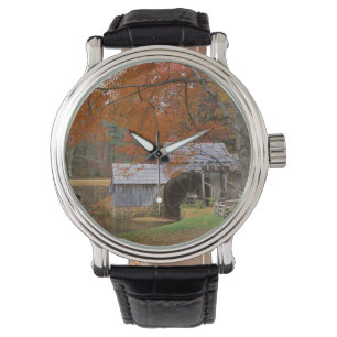 USA, Virginia, Blue Ridge Parkway, herfst Horloge