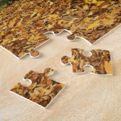 USA, Virginia, Covington, Humpback Covered Legpuzzel (Zijkant)