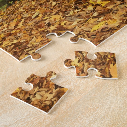 USA, Virginia, Covington, Humpback Covered Legpuzzel (Zijkant)