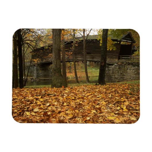 USA, Virginia, Covington, Humpback Covered Magneet (Horizontaal)