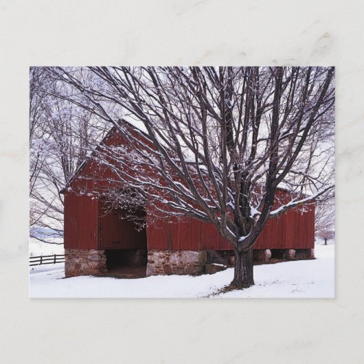 USA, Virginia, Fairfax County, Barn en Maple Briefkaart (Voorkant)