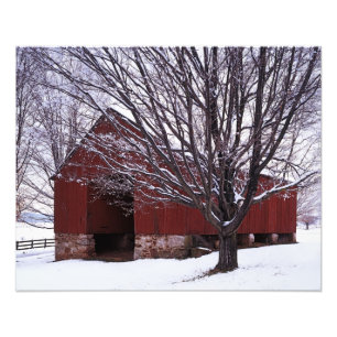 USA, Virginia, Fairfax County, Barn en Maple Foto Afdruk