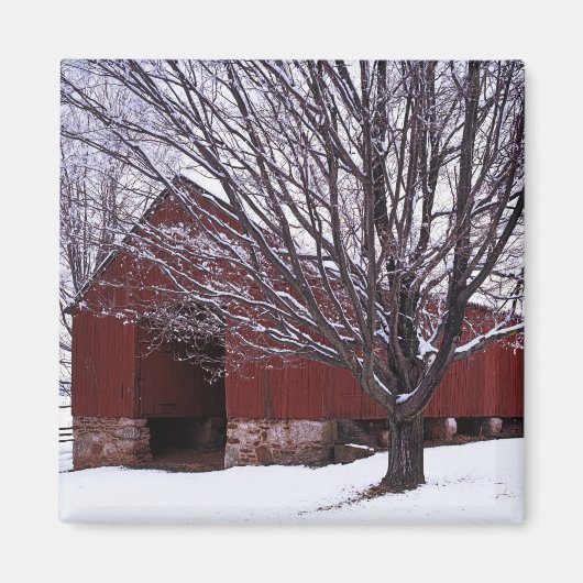 USA, Virginia, Fairfax County, Barn en Maple Magneet (Voorkant)