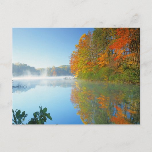 USA, Virginia, Fairy Stone State Park 2 Briefkaart (Voorkant)