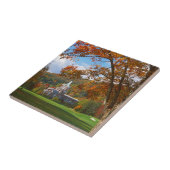 USA, Virginia, Hot Springs, The Homestead Tegeltje (Zijkant)