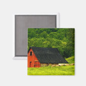 USA, Virginia, Shenandoah National Park, 2 Magneet (Voorkant / Achterkant)