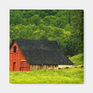 USA, Virginia, Shenandoah National Park, 2 Magneet