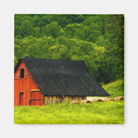 USA, Virginia, Shenandoah National Park, 2 Magneet (Voorkant)