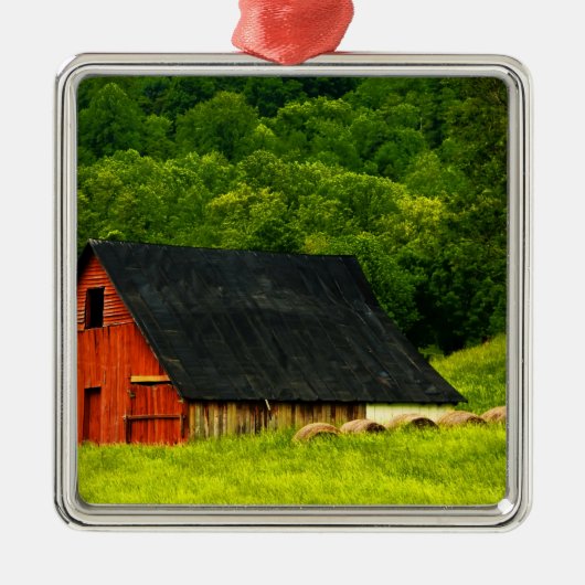 USA, Virginia, Shenandoah National Park, 2 Metalen Ornament (Voorkant)