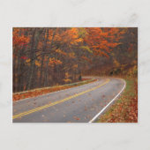 USA, Virginia, Shenandoah National Park, Skyline Briefkaart (Voorkant)