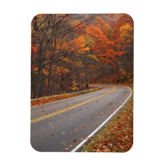 USA, Virginia, Shenandoah National Park, Skyline Magneet (Verticaal)
