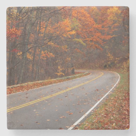 USA, Virginia, Shenandoah National Park, Skyline Stenen Onderzetter (Voorkant)
