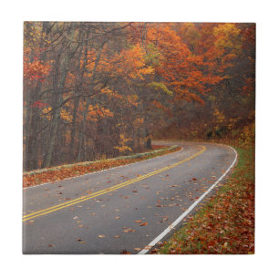 USA, Virginia, Shenandoah National Park, Skyline Tegeltje