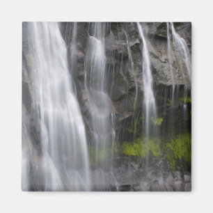 USA, WA, Mt. Rainier NP, Narada Herfsten Magneet