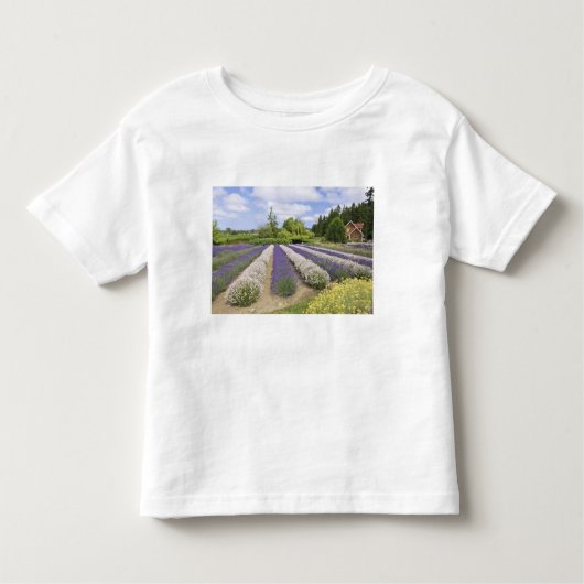 USA, WA, Sequim, Paars Haze Lavender Boerderij Kinder Shirts (Voorkant)