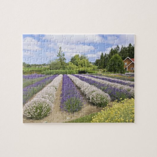 USA, WA, Sequim, Paars Haze Lavender Boerderij Legpuzzel (Horizontaal)
