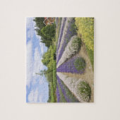 USA, WA, Sequim, Paars Haze Lavender Boerderij Legpuzzel (Verticaal)
