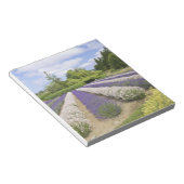 USA, WA, Sequim, Paars Haze Lavender Boerderij Notitieblok (Schuin)