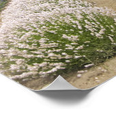 USA, WA, Sequim, Paars Haze Lavender Boerderij Poster (Hoek)